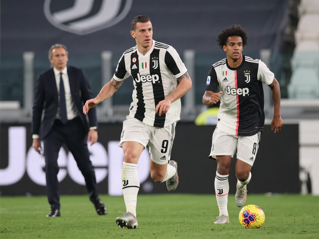 bet365中文网站新手指南与实用技巧全面解析助您顺利开启博彩之旅